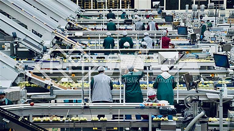 Factories Designed with Worker Health in Mind.