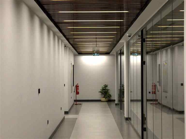 Modern Ofislerde Doğrusal Tavan ve Gizli Aydınlatma Trendleri.