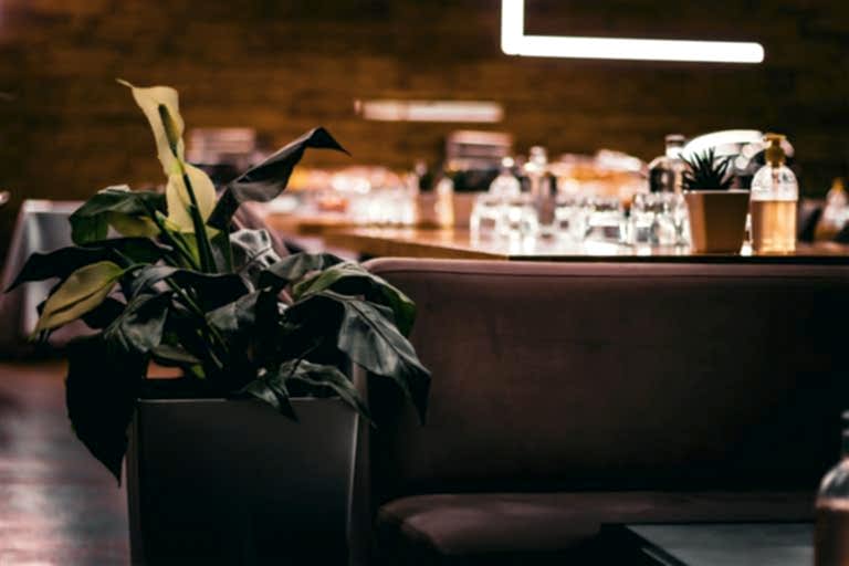 Restoran İç Mimarisi: İç Mekanlarda Bitkilerin Rolü.